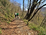 Da Miragolo S.Marco al Santuario del Perello sul sent. 514-10apr23 - FOTOGALLERY